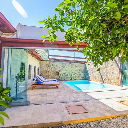 Jade Evi *